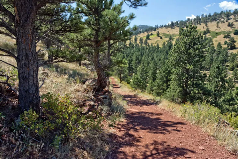 Joder Ranch Trail
