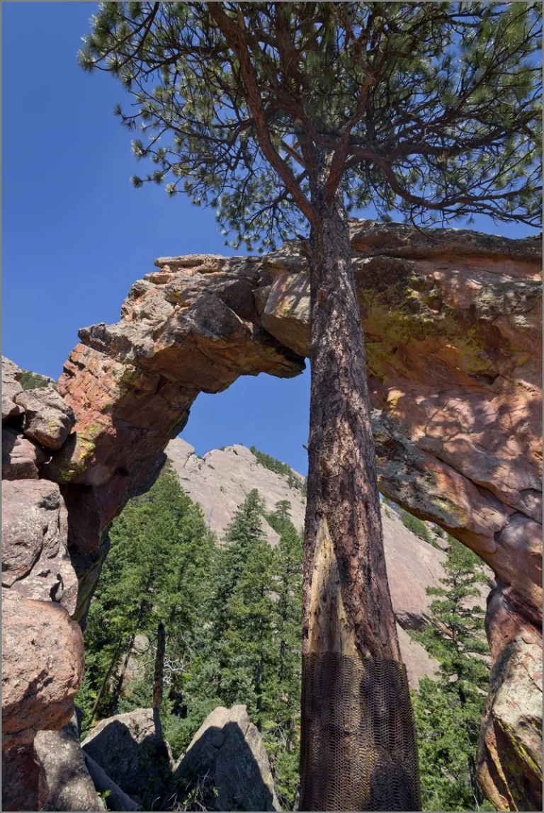 Royal Arch from backside