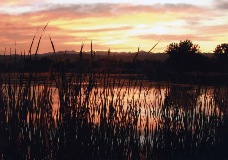 Sawhill Ponds sunset
