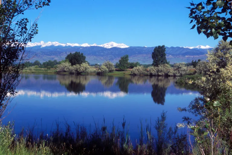 Pond near White Rocks Trail