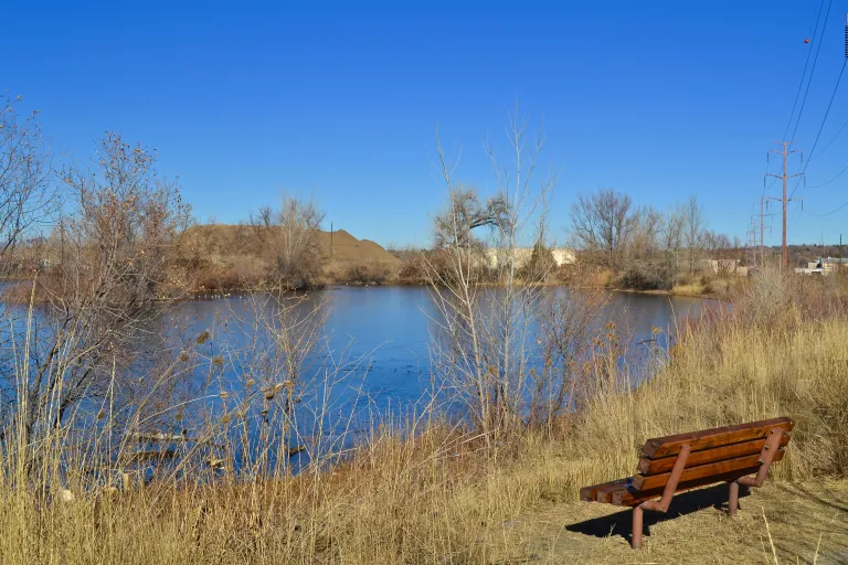 Bench at Sawhill Ponds