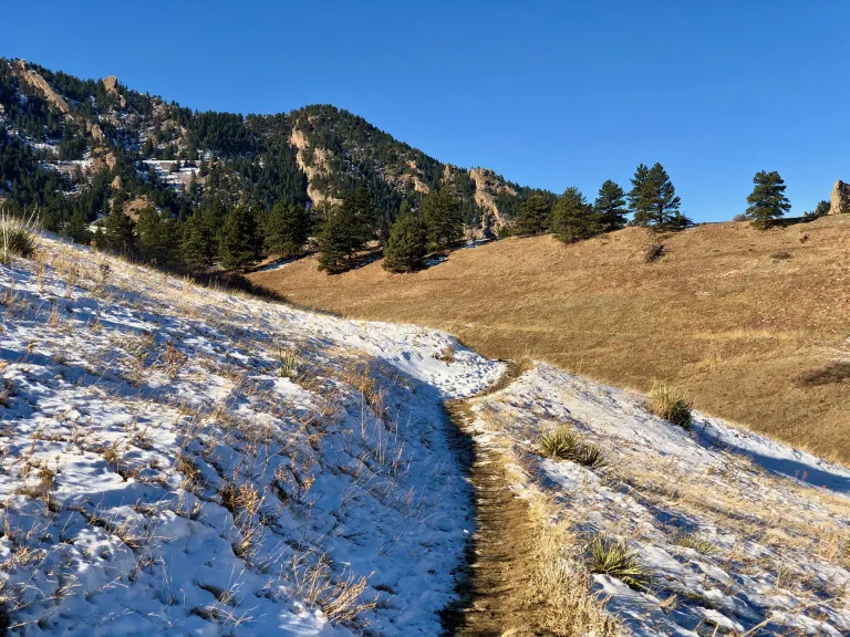 Spring Brook Loop North in winter
