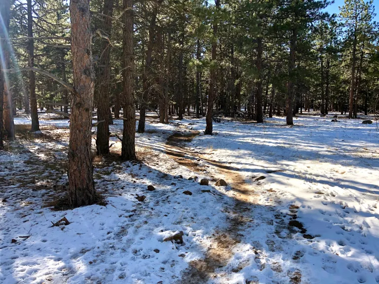 Spring Brook Loop North in winter