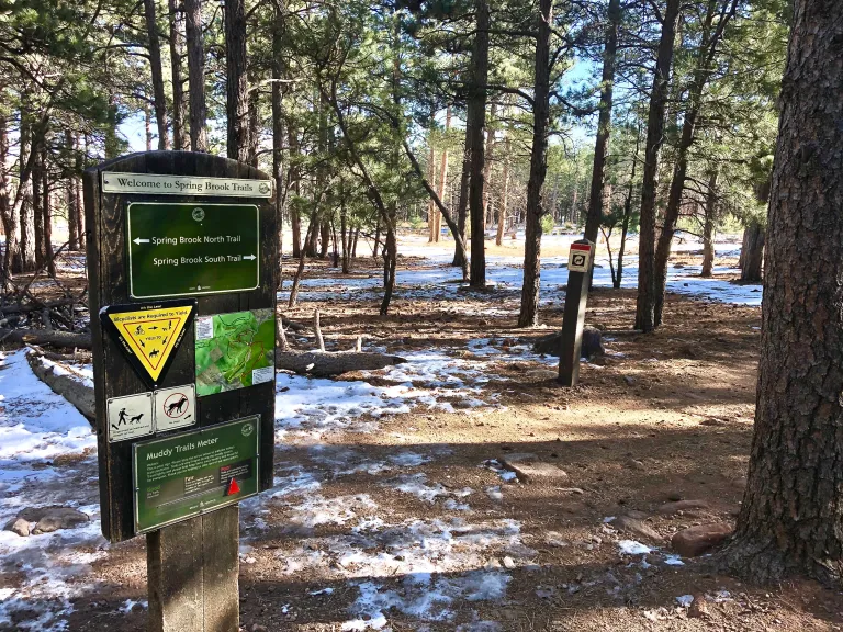 Spring Brook Loop sign