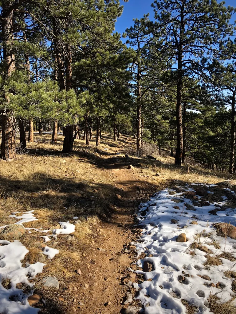 Spring Brook Loop South in winter