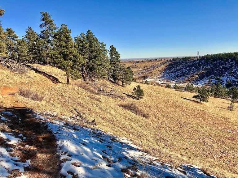 Spring Brook Loop South in winter