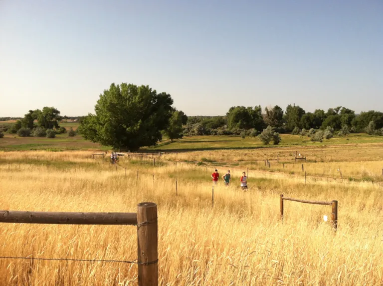 Runners on Teller Farm Trail