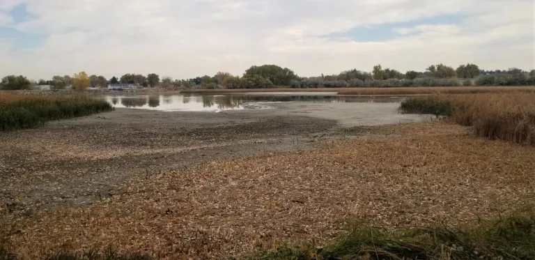 Teller Lake #5