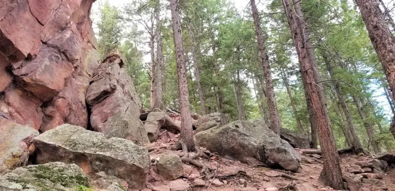 Amphitheater Express Trail