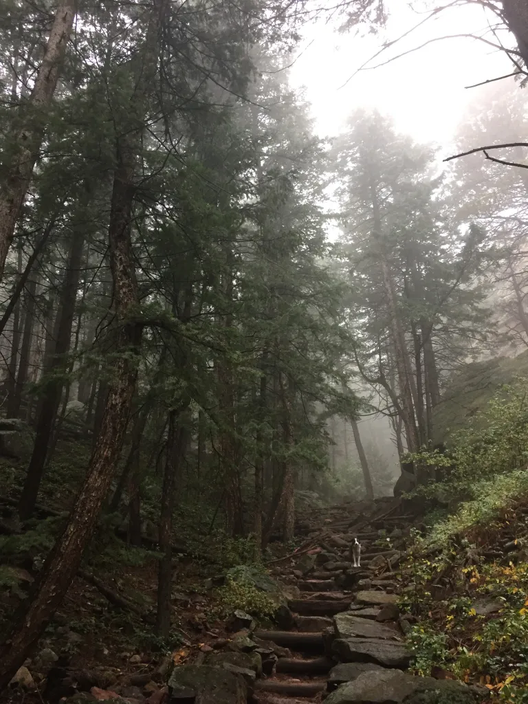 Amphitheater Trail
