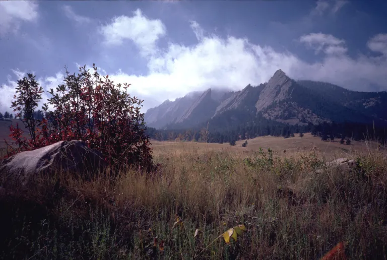 Baseline Trail in fall