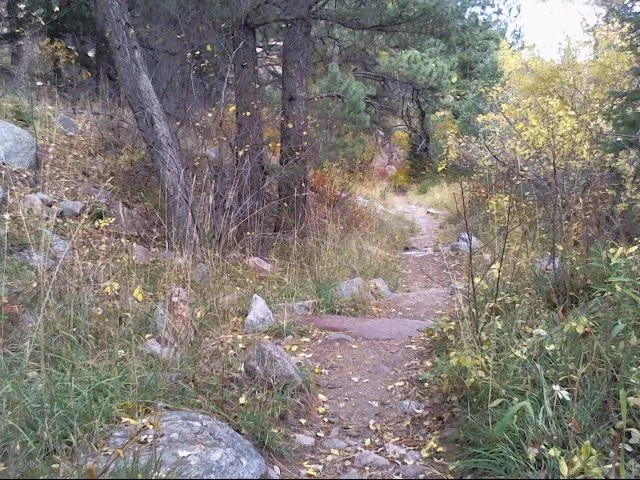 Bear Canyon Trail