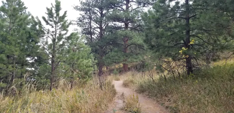Bluebell-Baird Trail
