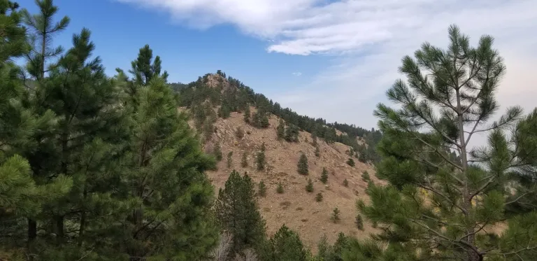 Bluebell-Baird Trail view