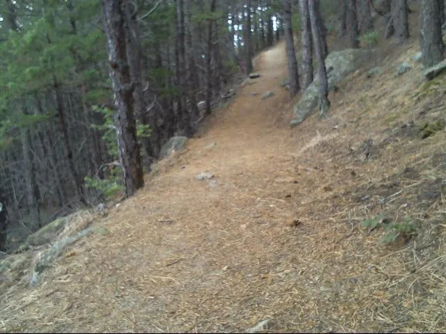 Boy Scout Trail