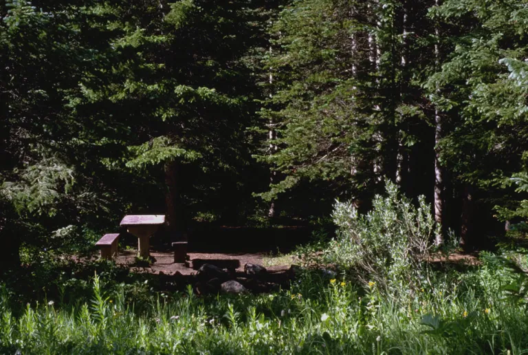 4th of July/Buckingham Campground