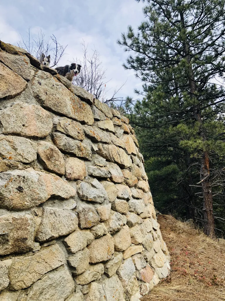 Rock wall along Chapman Drive
