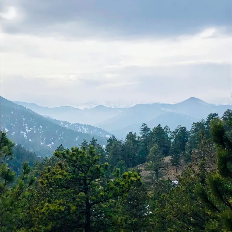 Chapman Drive view