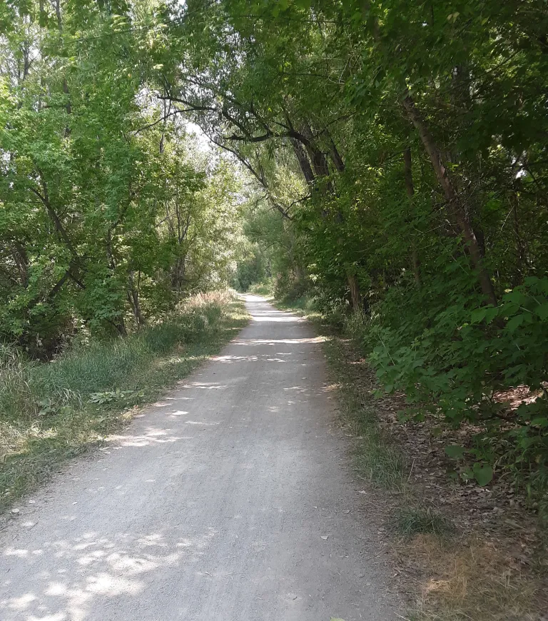 West section of Cottontail Trail