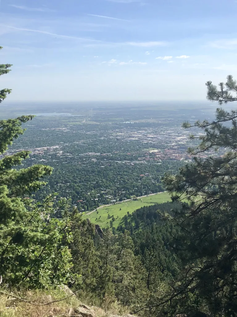 E.M. Greenman view