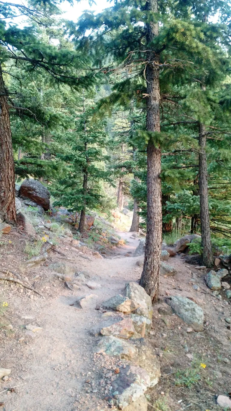 E.M. Greenman Trail