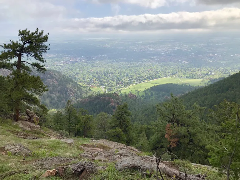 E.M. Greenman view