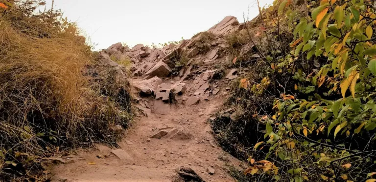 Goat Trail