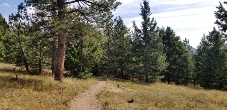 Green Bear Trail