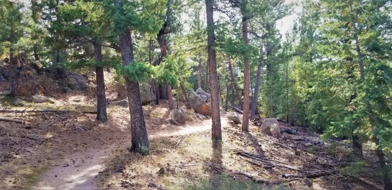 Green Bear Trail