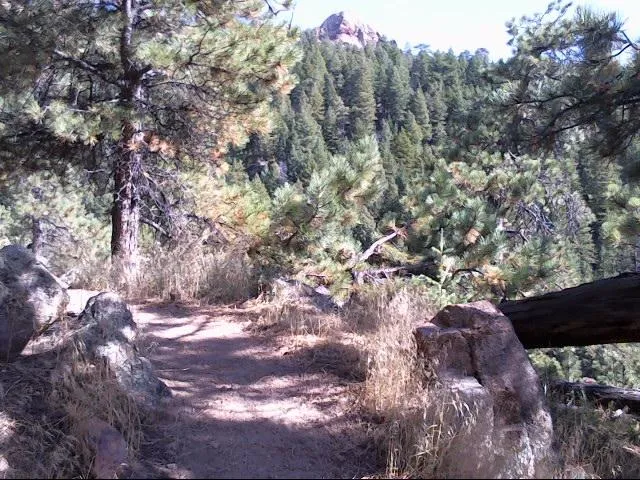 Green Bear Trail
