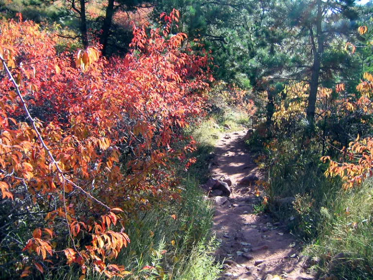 Gregory Canyon Trail in fall