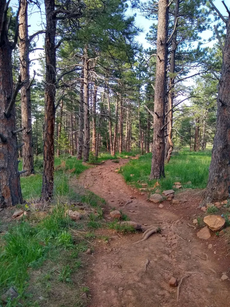 Kohler Mesa Trail in spring