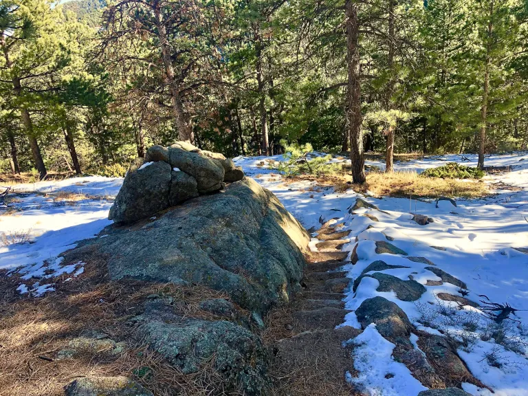 Long Canyon Trail near Flagstaff Rd