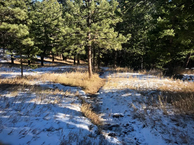 Long Canyon Trail near Flagstaff Rd