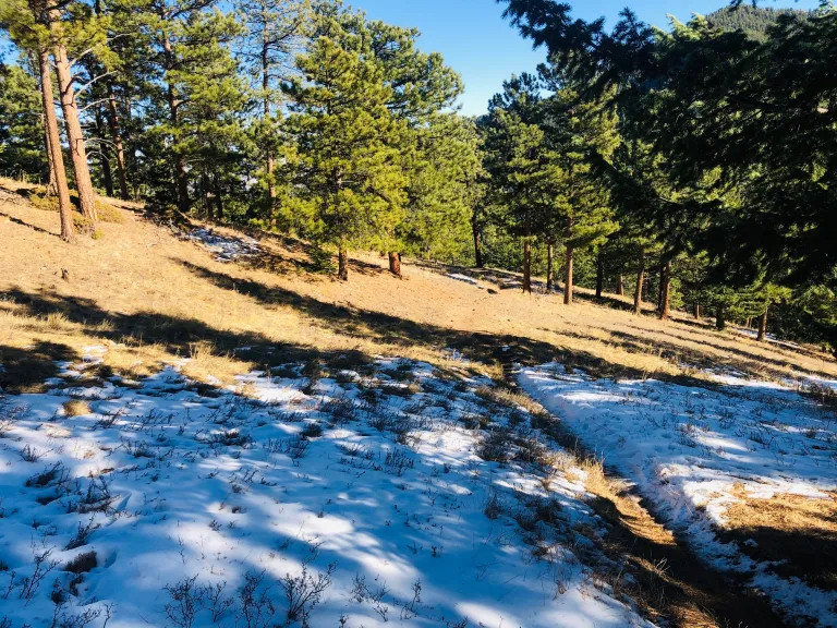Long Canyon Trail near Flagstaff Rd