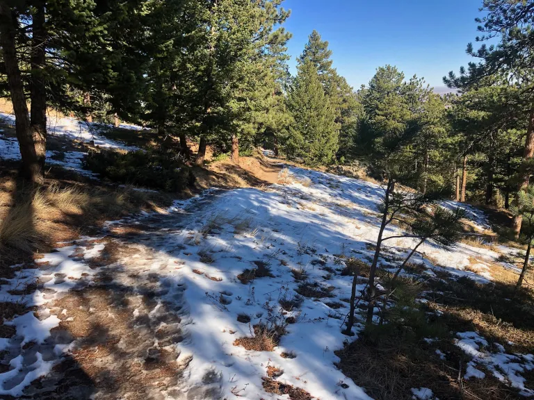 Long Canyon Trail near Flagstaff Rd