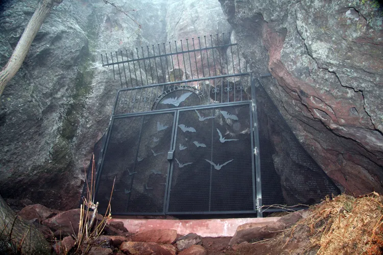 Mallory Cave gate