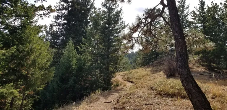 May's Point trail
