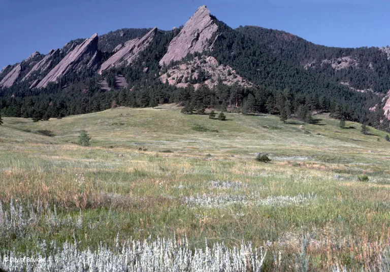 Chautauqua Meadow