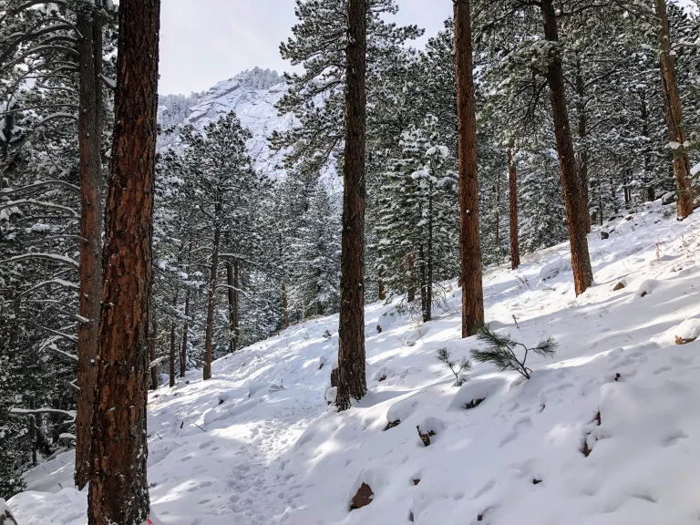 Mesa Trail in winter