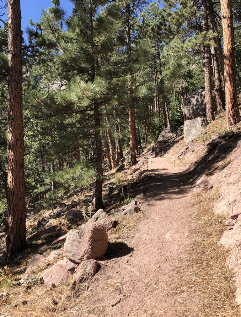 Mesa Trail near Shanahan