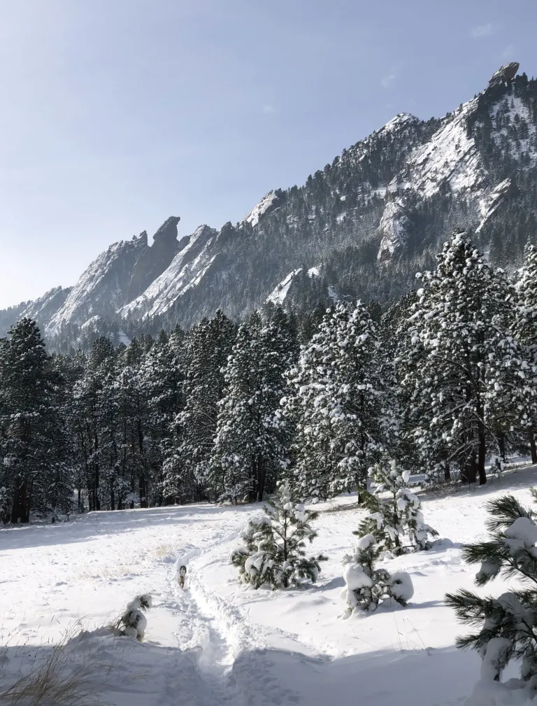 Mesa Trail in winter