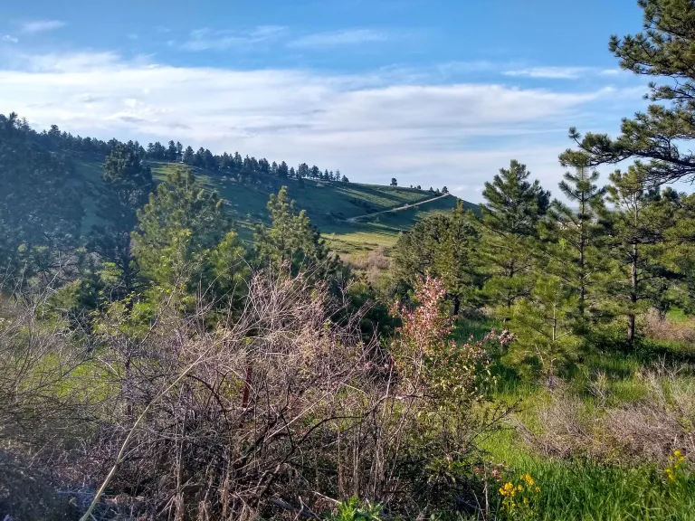 NCAR - Skunk Canyon view in spring