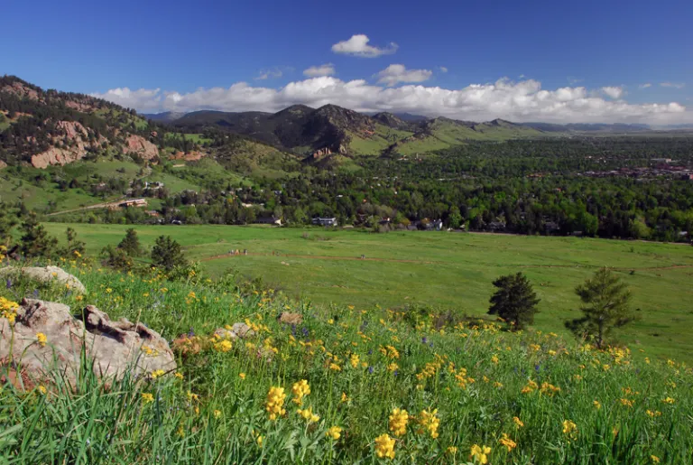 Bluebell Mesa view in spring