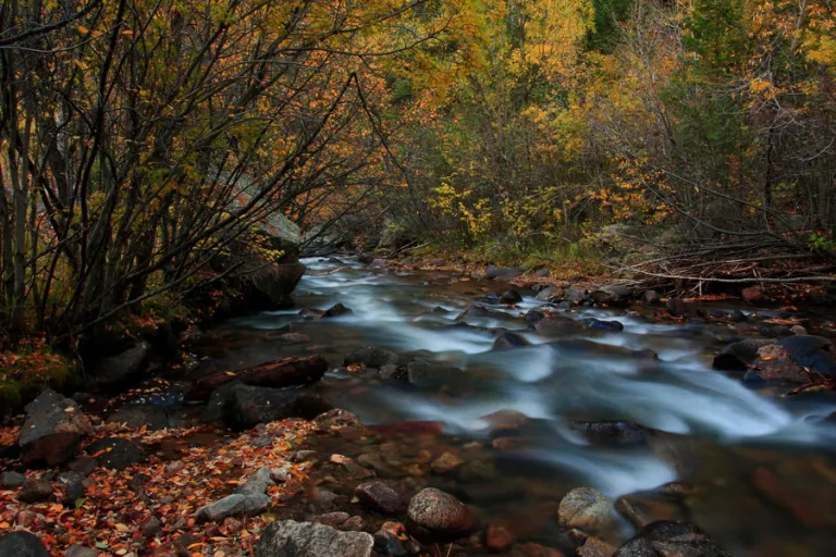 Buckingham Park and Lefthand Creek in autumn