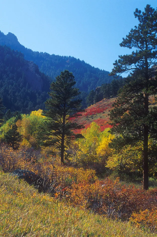 Flagstaff Trail in autumn