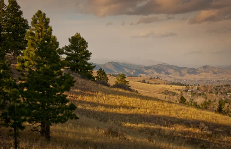 Four Pines view