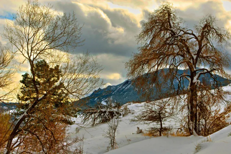 Goat Trail in winter