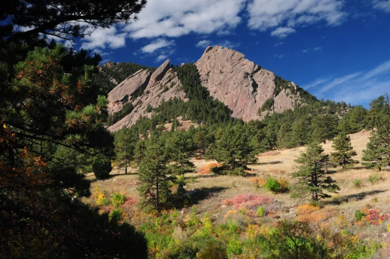 McClintock Upper Trail in fall