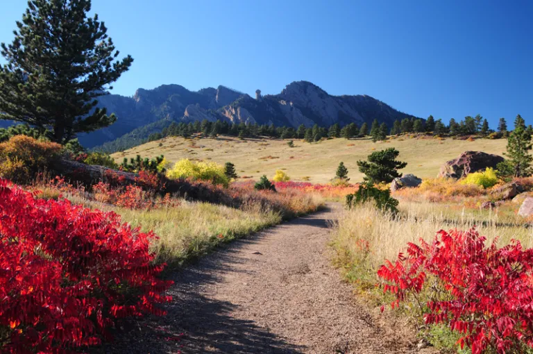 South Mesa in fall